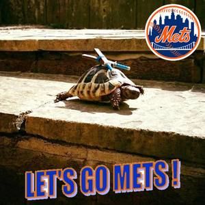 Meet your Posher, Sean